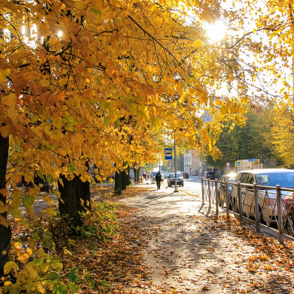 Stadt im goldenen Herbst
